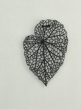 Görseli Galeri görüntüleyiciye yükleyin, Yaprak Dekoratif Metal Tablo