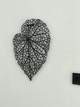 Görseli Galeri görüntüleyiciye yükleyin, Yaprak Dekoratif Metal Tablo